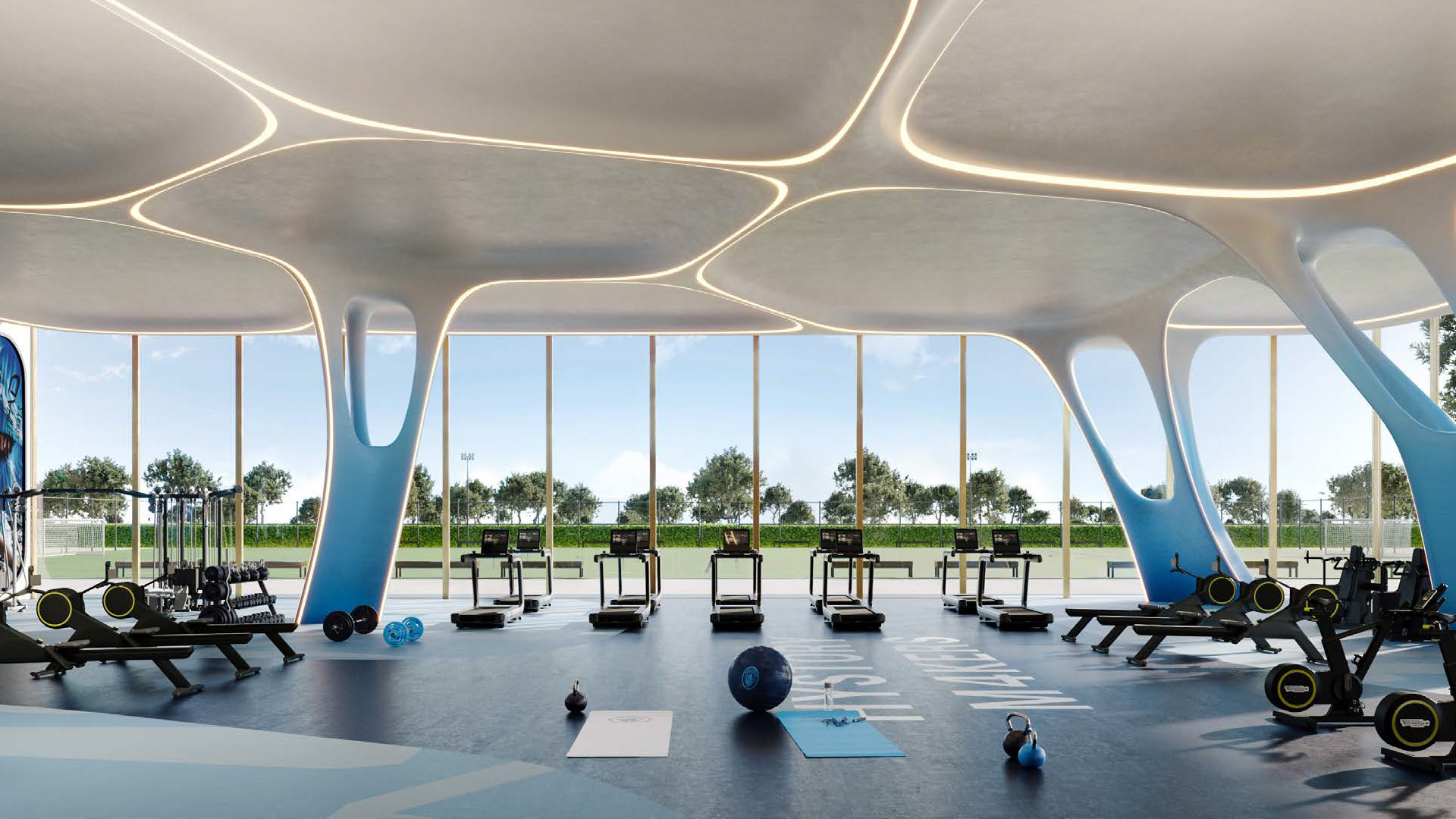 Gym and fitness training